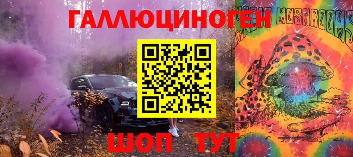 Галлюциногенные грибы Psilocybine cubensis Карачаевск