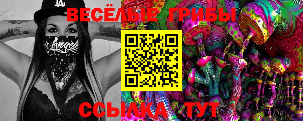 Карачаевск  Псилоцибиновые грибы Psilocybine cubensis  Вход с VPN  Галлюциногенные грибы Psilocybine cubensis 